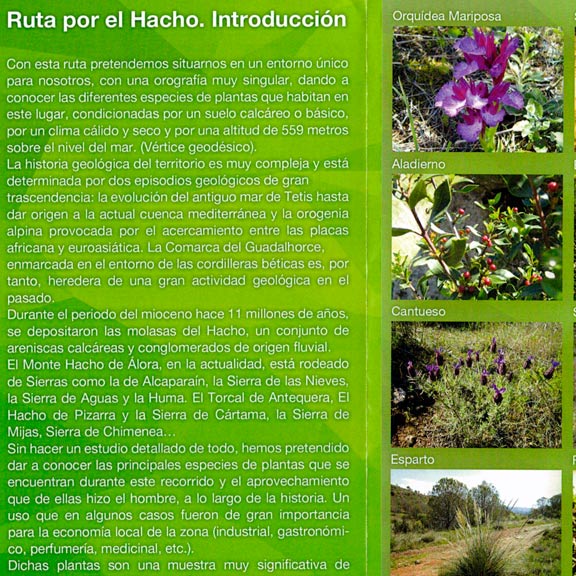 Fragmento de Folleto